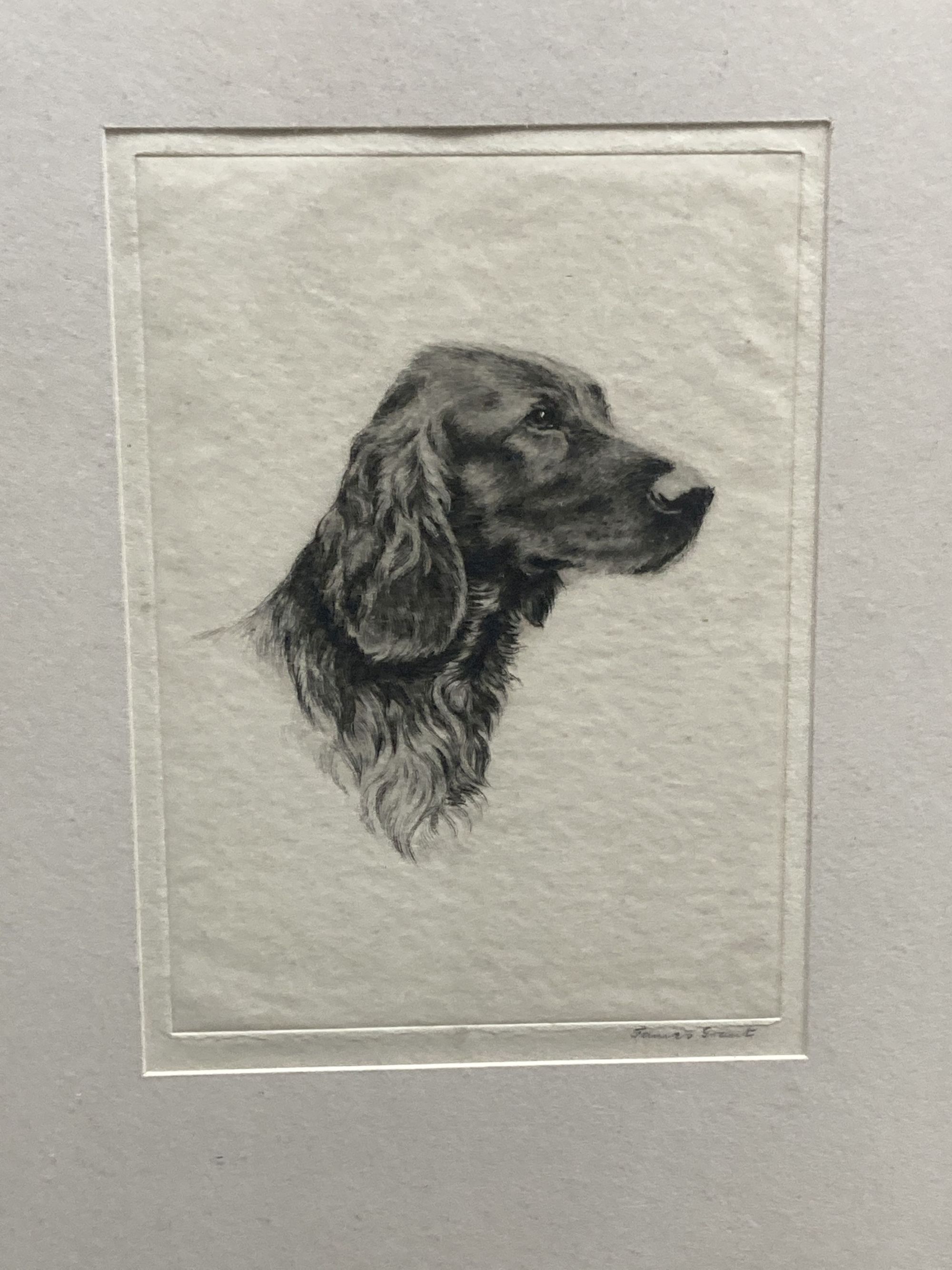 James Grant, pair of drypoint etchings, British Favourites - Irish Setter and Alsatian, signed in pencil, 15 x 11cm